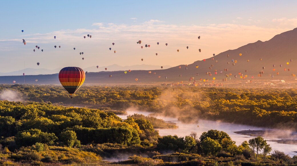 อัลเบอร์เคอร์กี