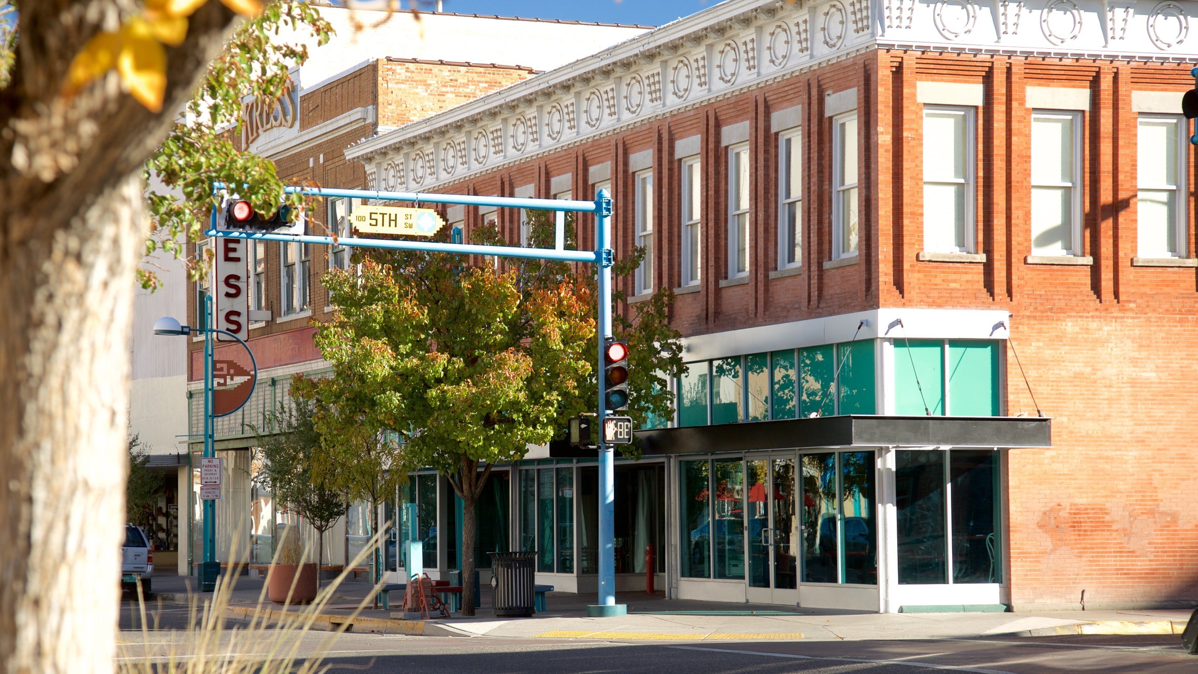 A street corner with a traffic light, a no parking sign, and a building with a green awning.