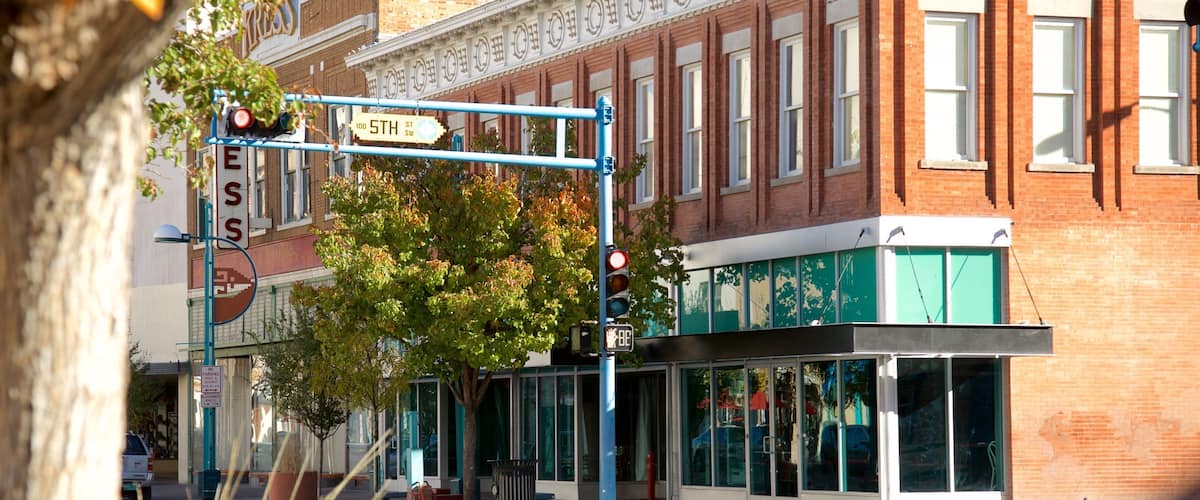 A street corner with a traffic light, a no parking sign, and a building with a green awning.