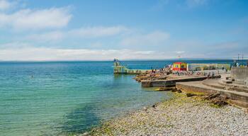 Salthill which includes a pebble beach, swimming and general coastal views