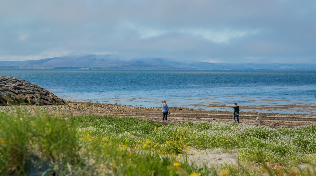 Salthill showing general coastal views