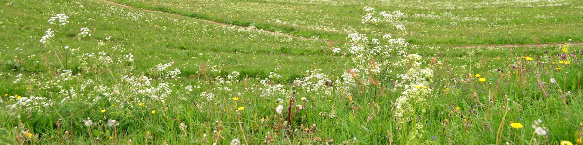 Berge in Täler im Schwarzwald