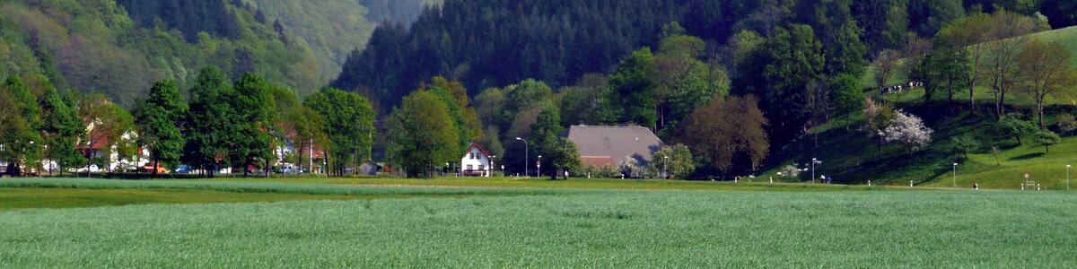 Ein Tal mit einem Feld, einem Haus und bewaldeten Hügeln.