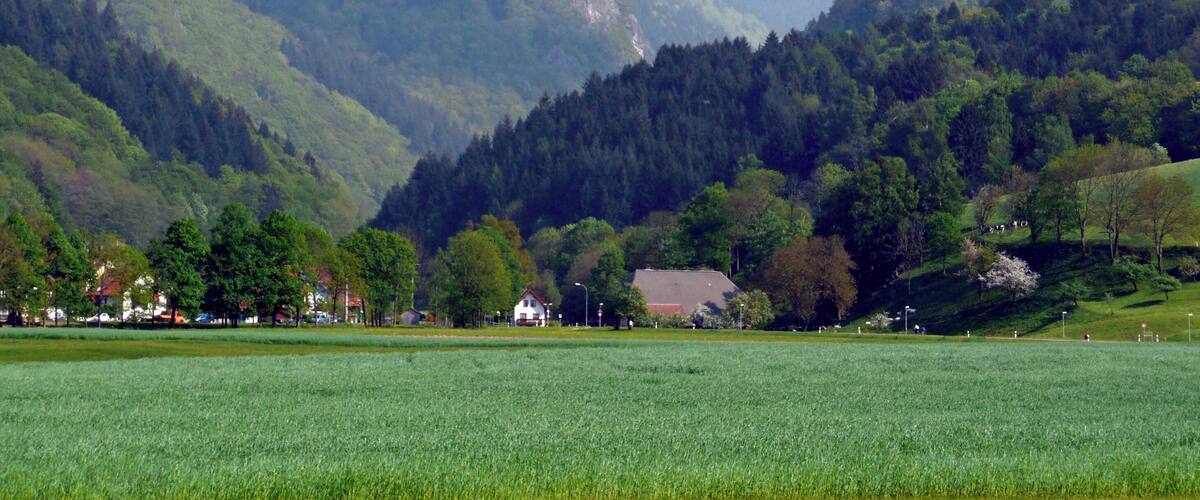 A valley with a field, a house, and forested hills.