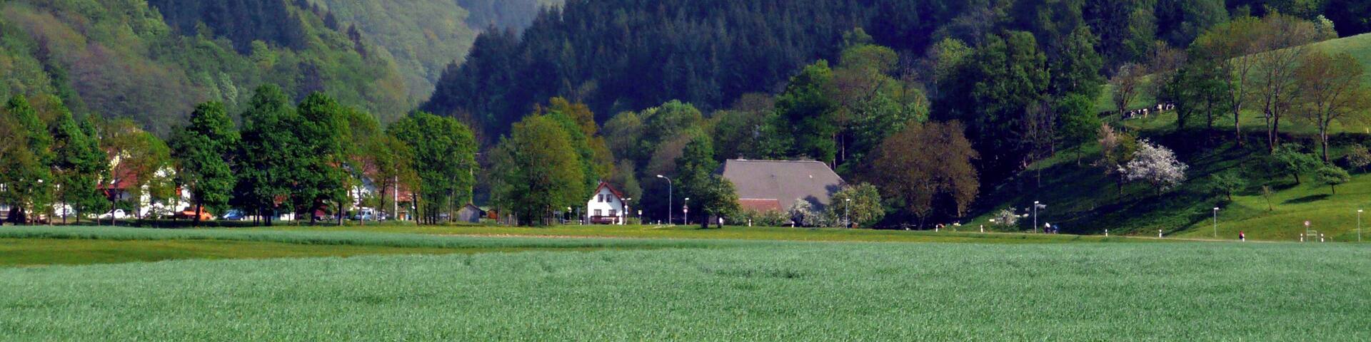A valley with a field, a house, and forested hills.