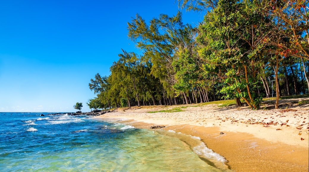 Wild sandy beach at the “Pointe aux Piments” in the west of the tropical vacation paradise of Mauritius (Indian Ocean). Black lava rocks, fine light-colored sand, turquoise-blue clear water and surf.