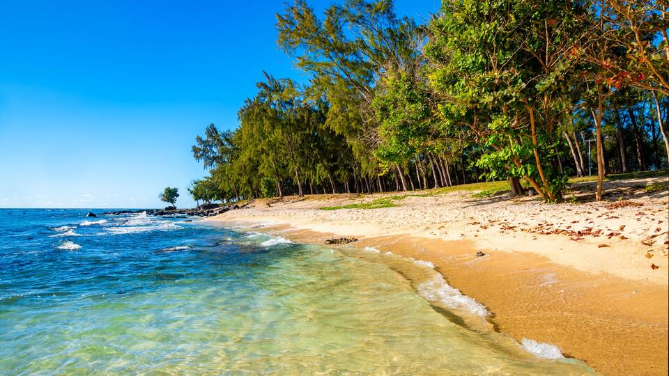 A beach with clear turquoise water, sandy shore, and a line of trees.