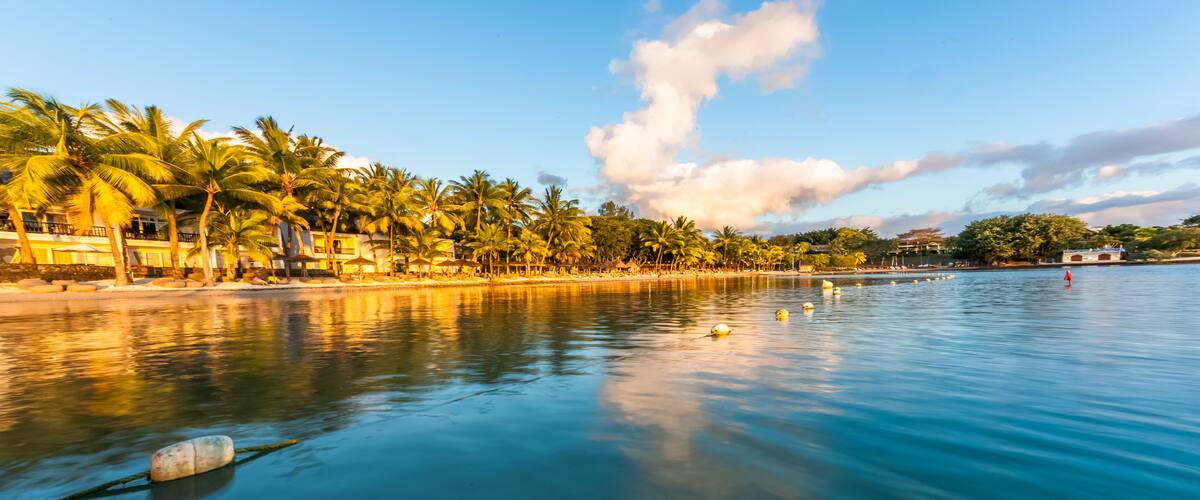 A calm beach with palm trees and a clear sky.