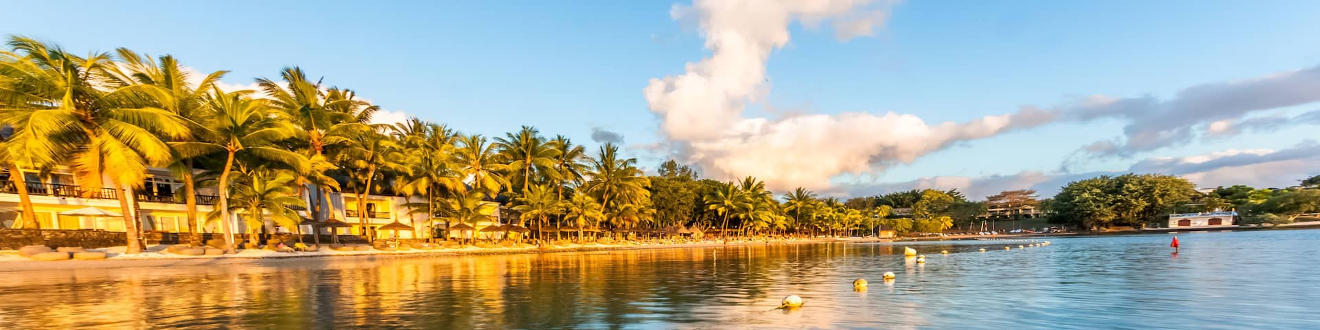 A calm beach with palm trees and a clear sky.