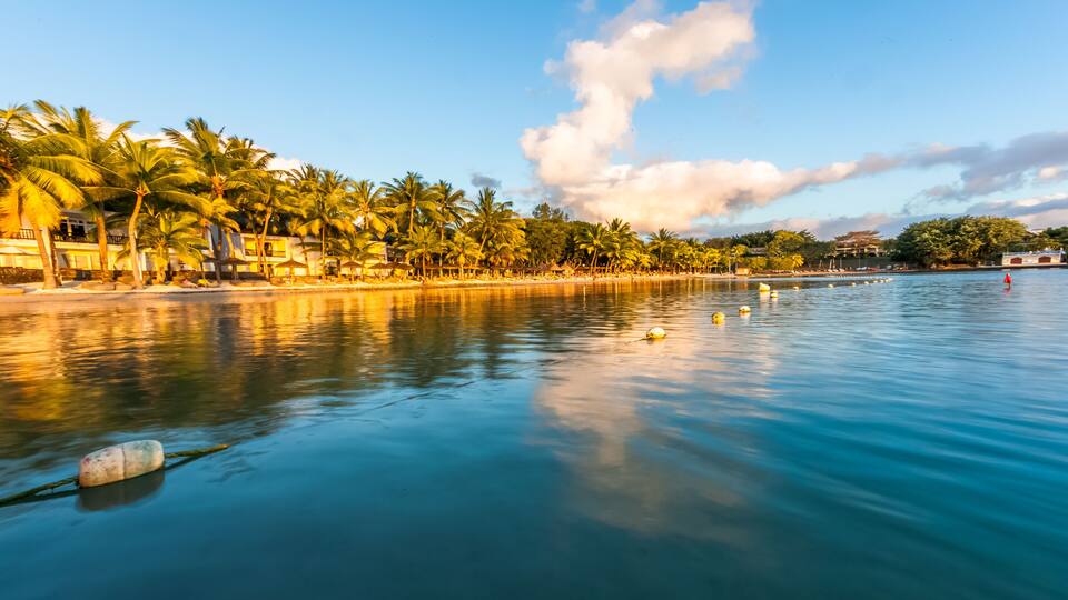 A calm beach with palm trees and a clear sky.