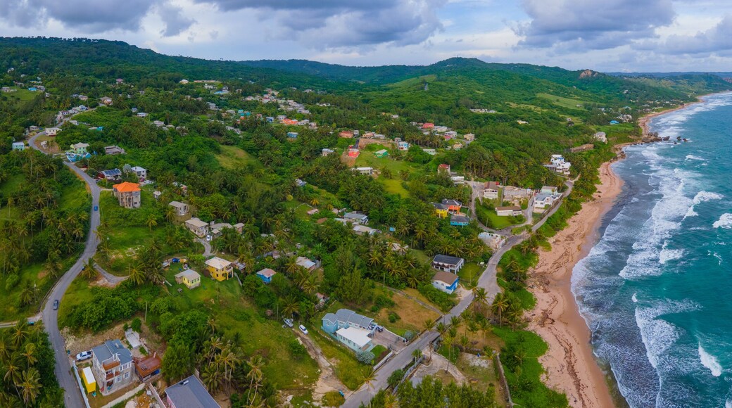 Bathsheba Beach aerial view including mushroom rock in village of Bathsheba, Saint Joseph, Barbados.