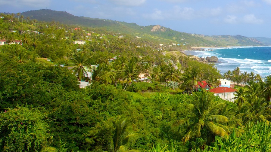 Bathsheba featuring tropical scenes, a coastal town and general coastal views