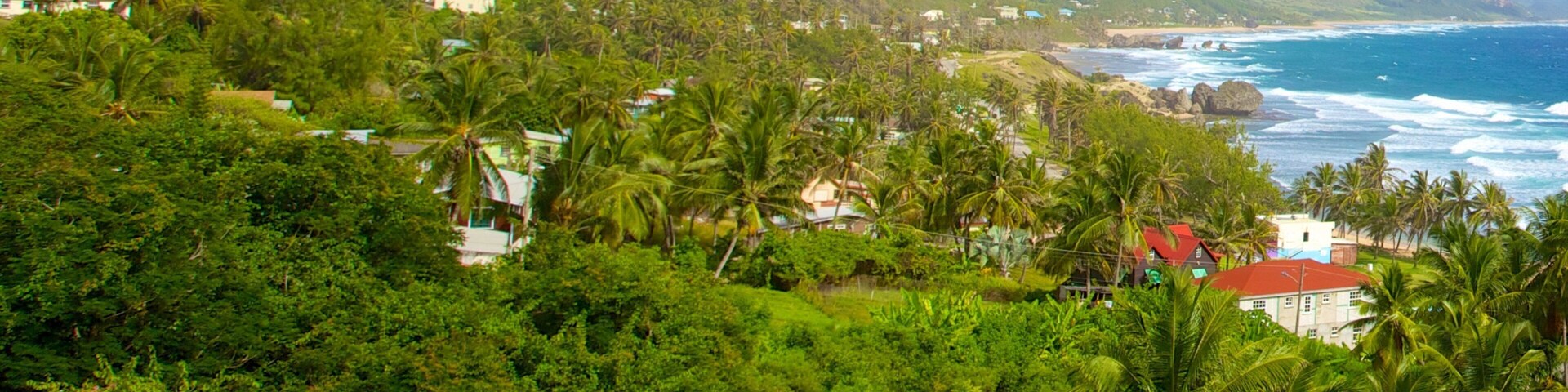 Bathsheba featuring tropical scenes, a coastal town and general coastal views
