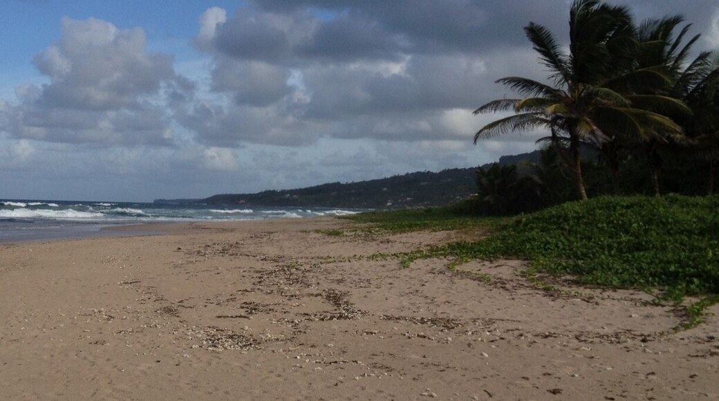 Nice, secluded beach