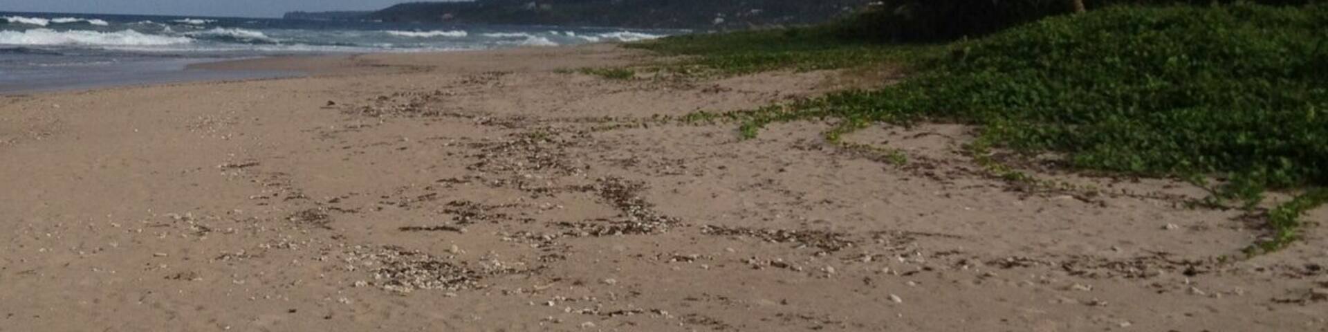 Nice, secluded beach