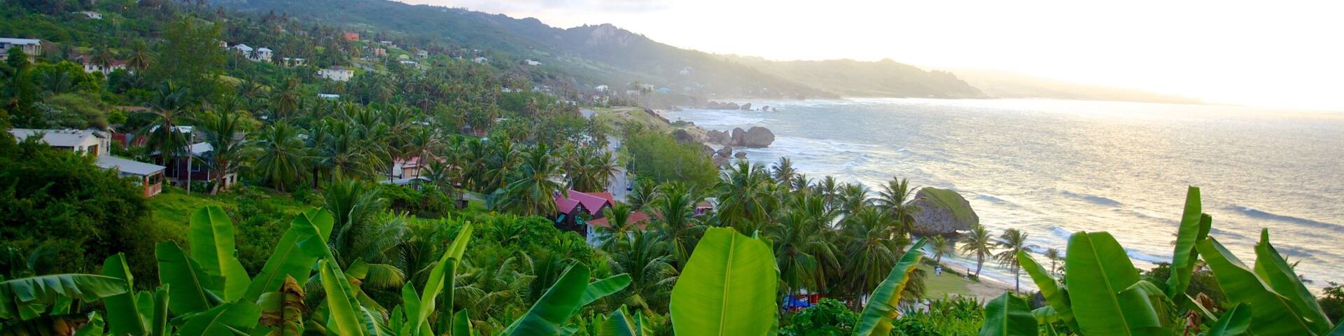 Bathsheba which includes a coastal town, landscape views and general coastal views