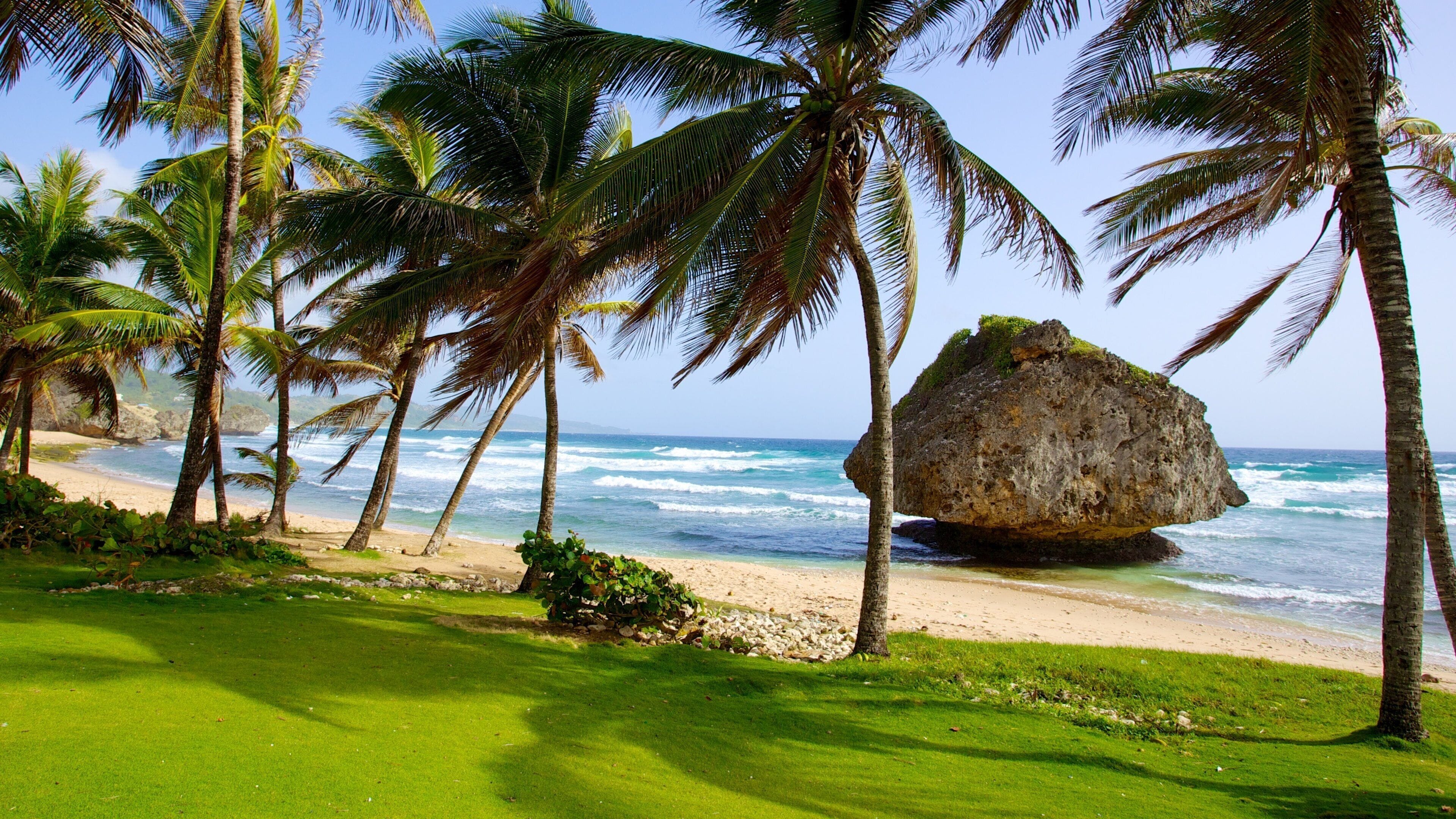 Bathsheba which includes landscape views, tropical scenes and rugged coastline