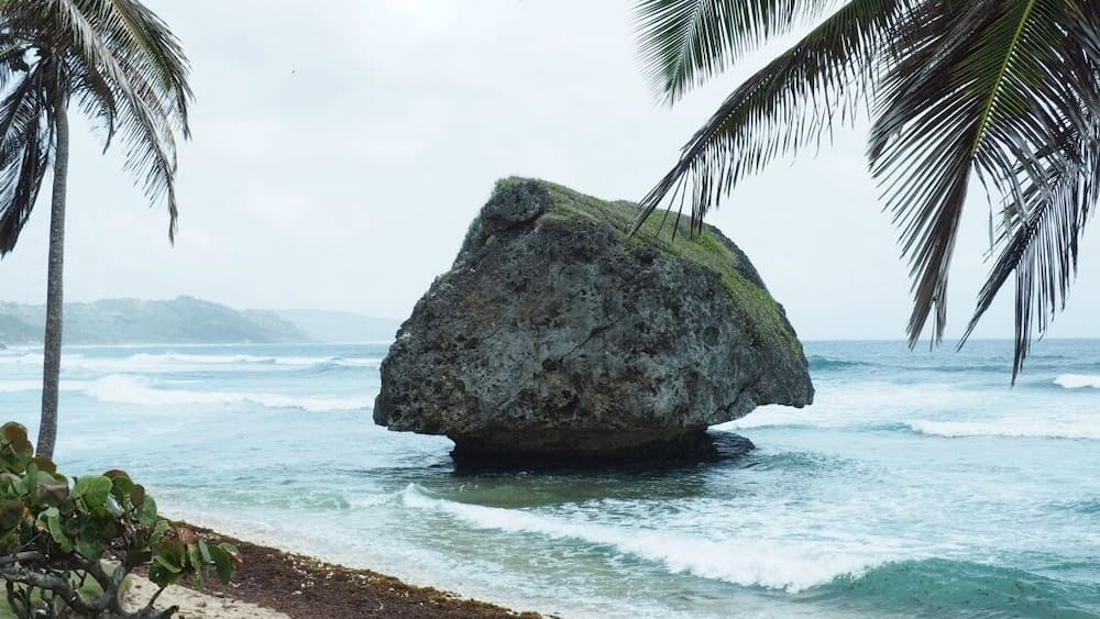 Barbados is beautiful. Bathseda offers spectacular views of the coastline