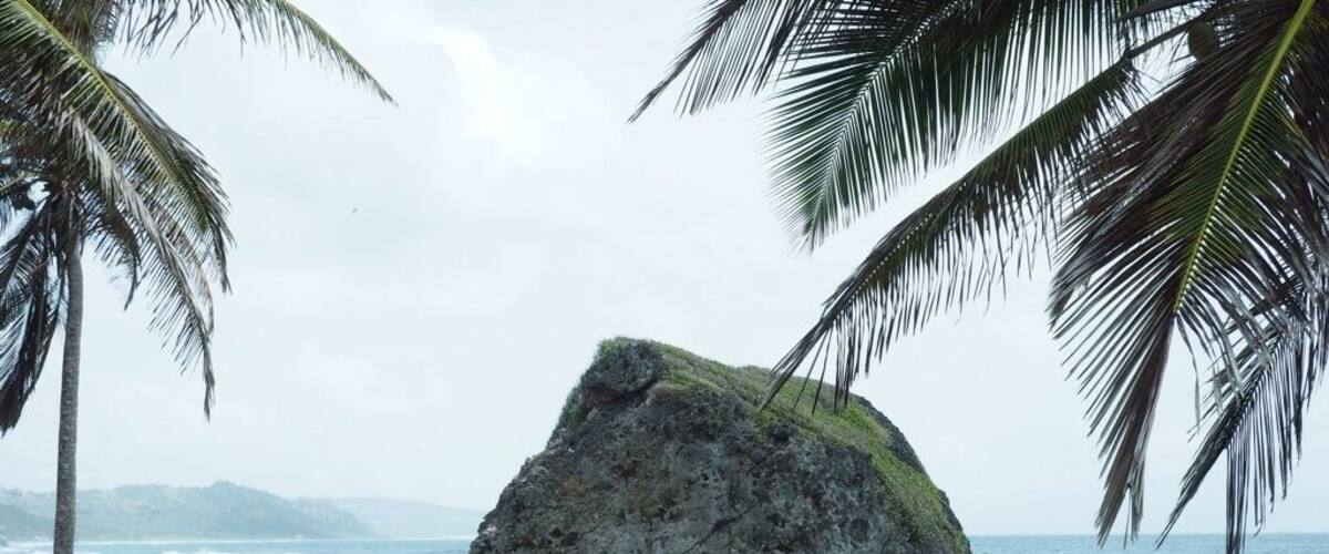 Barbados is beautiful. Bathseda offers spectacular views of the coastline