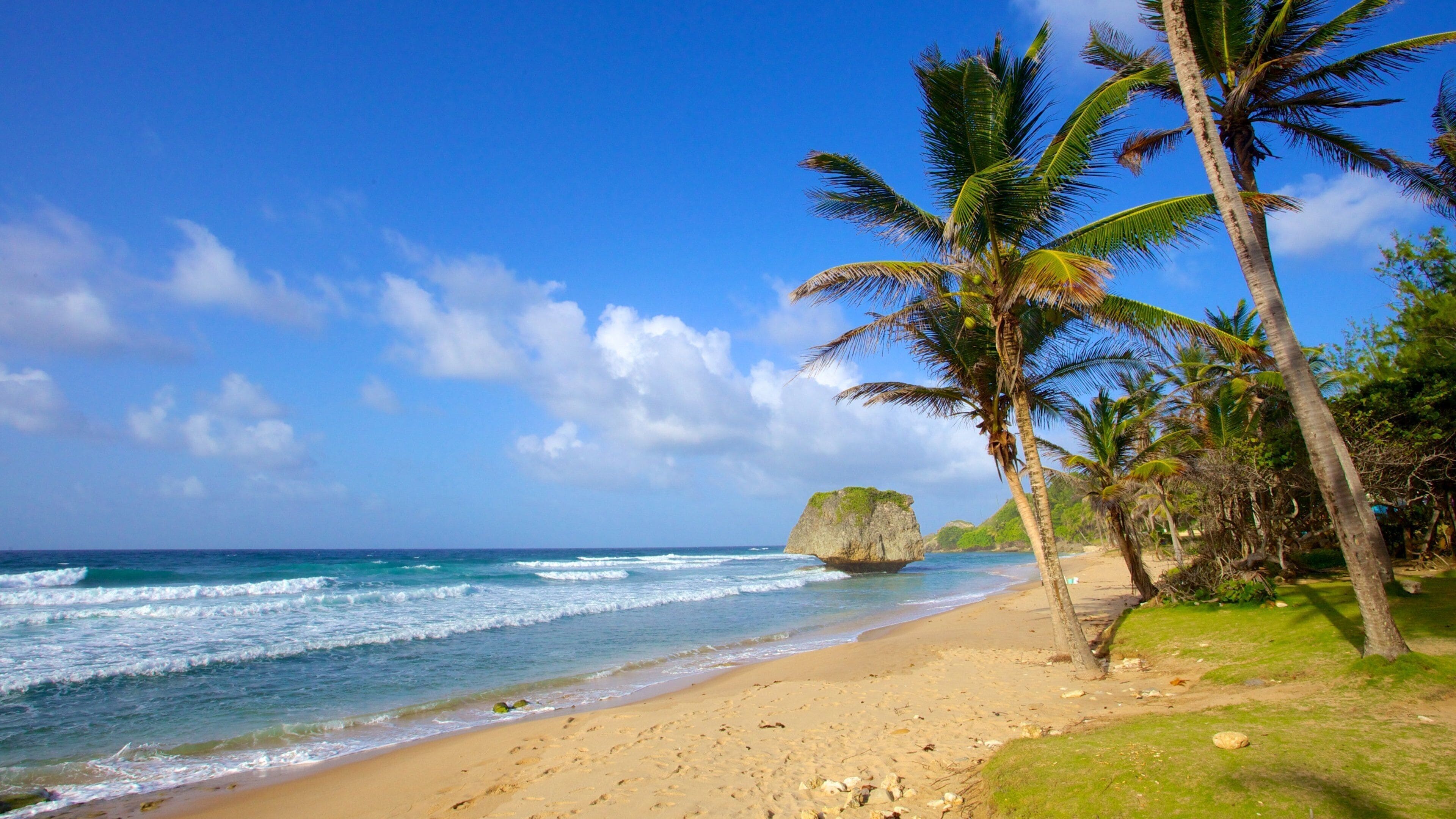 Bathsheba qui includes une plage, paysages tropicaux et paysages