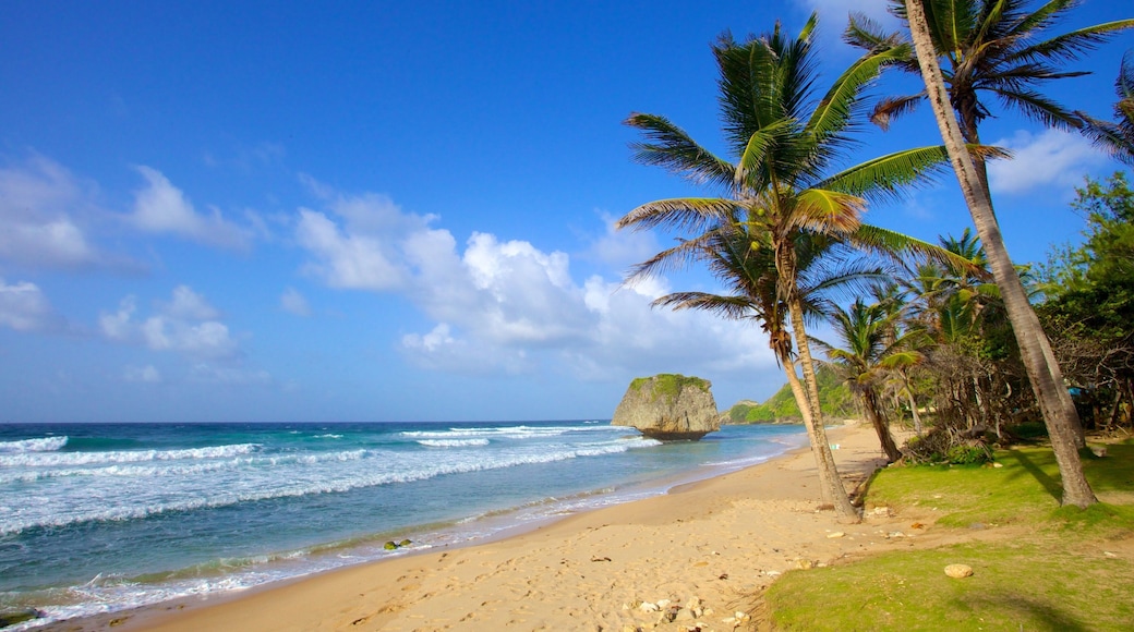 Bathsheba qui includes une plage, paysages tropicaux et paysages