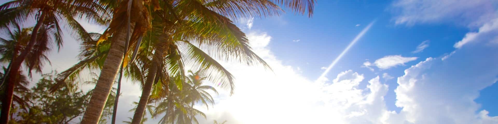 Bathsheba which includes landscape views, tropical scenes and a sandy beach