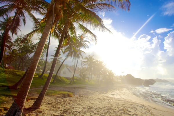 Bathsheba showing tropical scenes, a sandy beach and landscape views