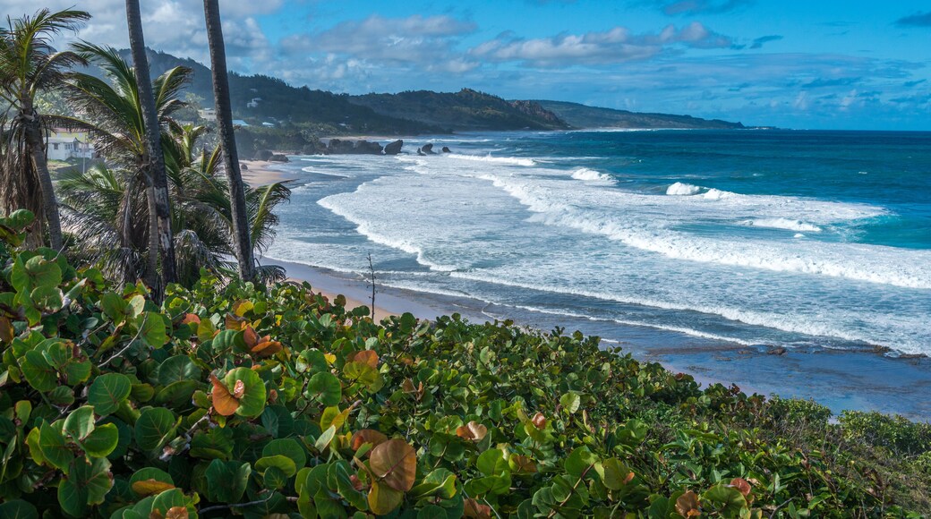 The Soup Bowl, Bathsheba, on the Atlantic east coast of Barbados