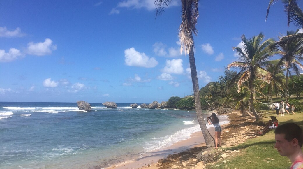 Bathsheba, Barbados