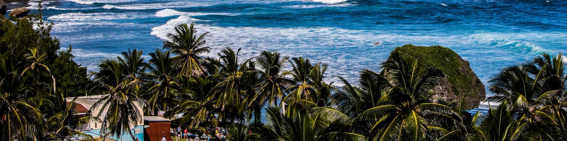 A coastal landscape with waves, palm trees, and a distant hill.
