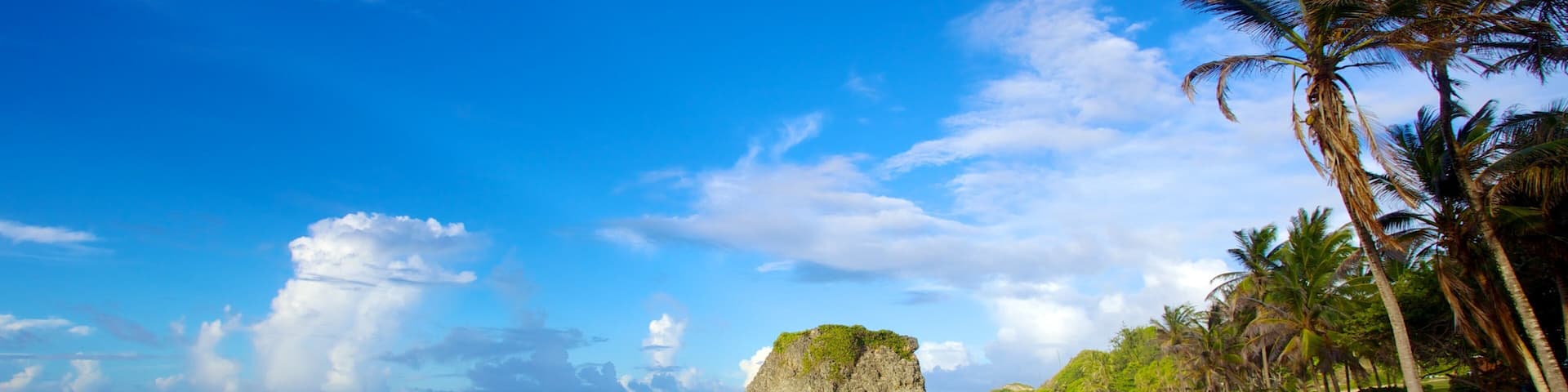 Bathsheba featuring tropical scenes, a beach and landscape views