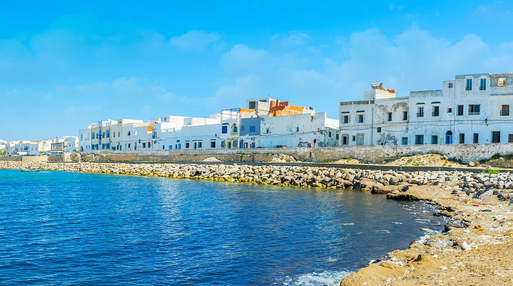 Panorama of Cape Africa and Mediterranean coast of Mahdia, Tunisia