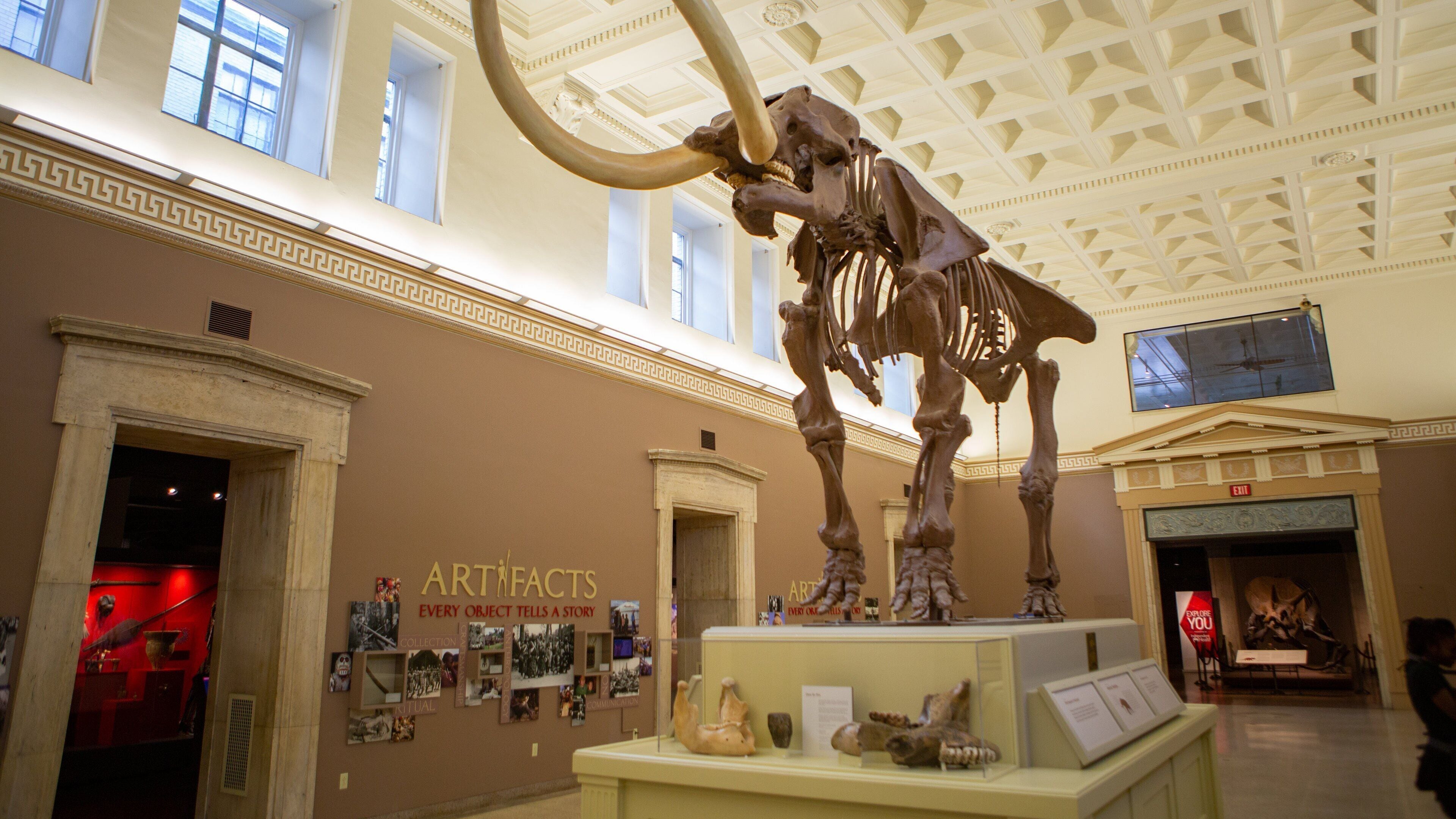 Buffalo featuring interior views