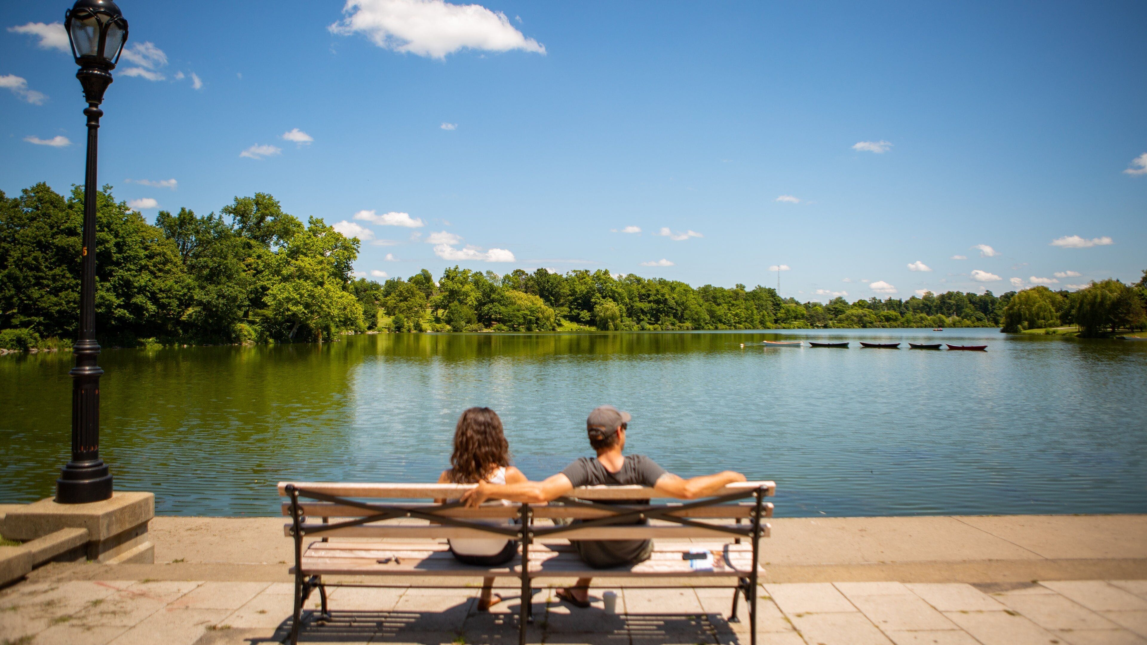 Buffalo showing a lake or waterhole as well as a couple