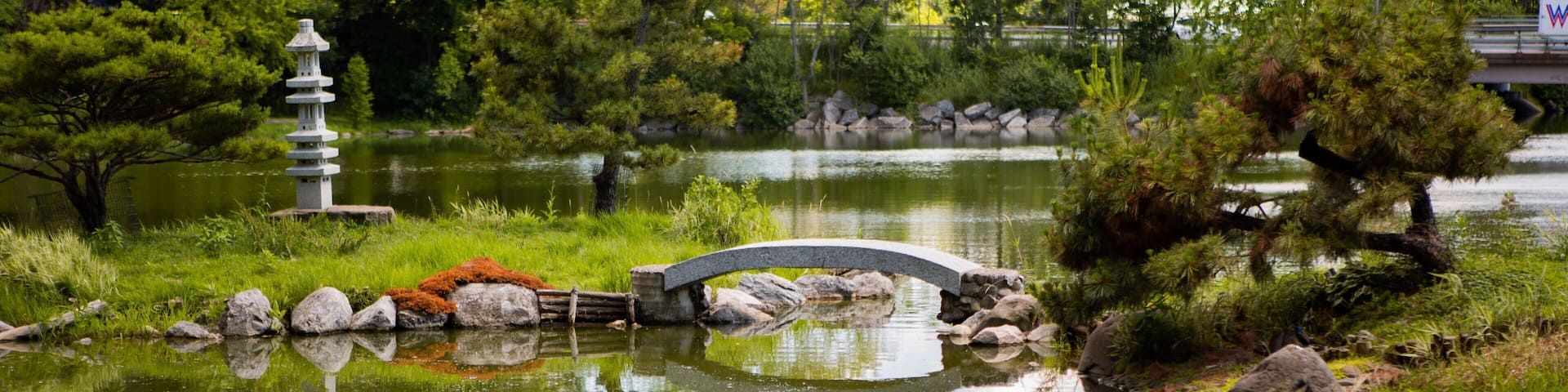 Buffalo featuring a pond