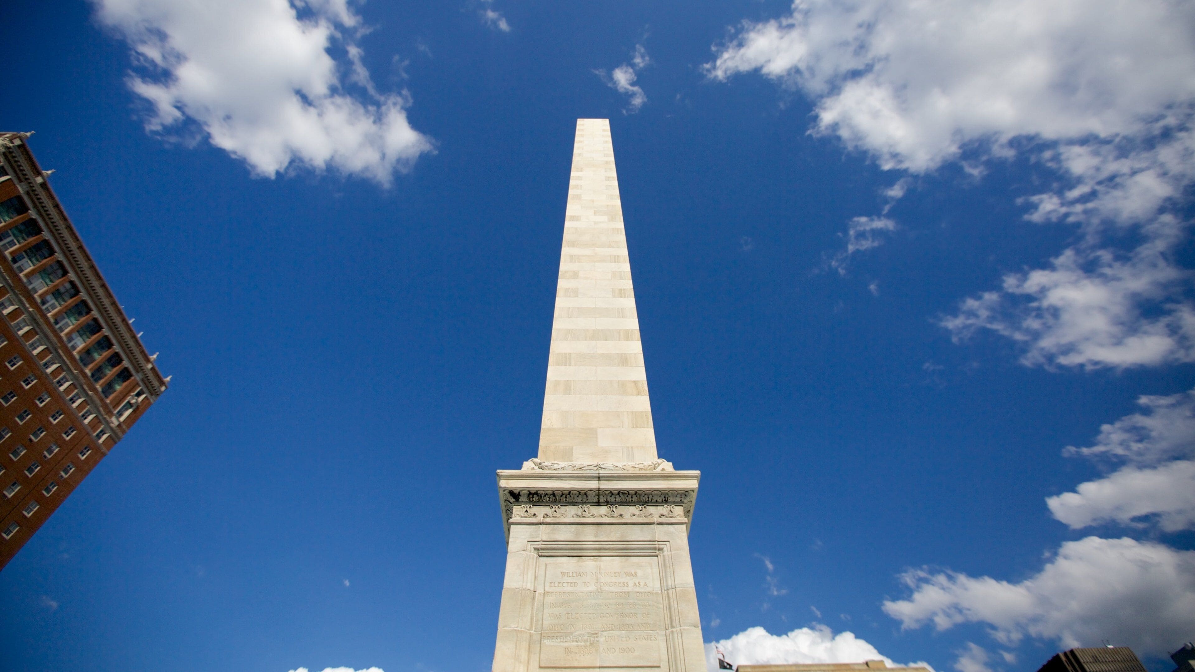 Buffalo showing a monument