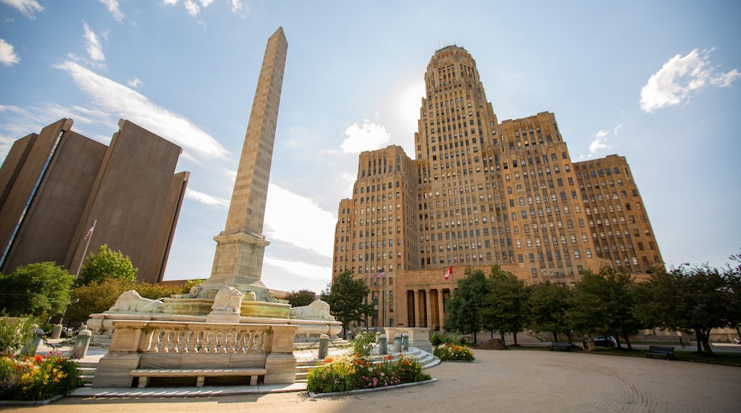 Buffalo showing a city