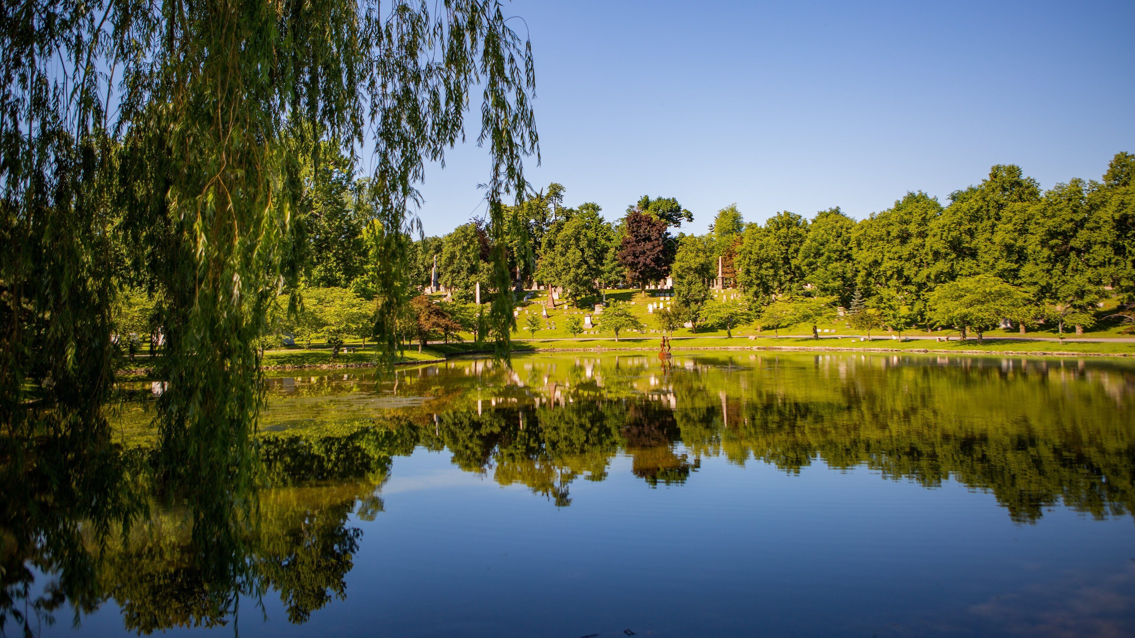 Buffalo featuring a lake or waterhole