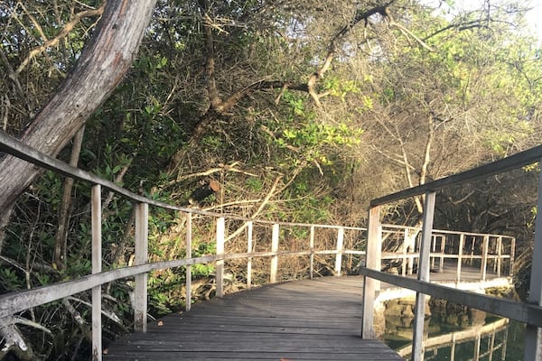 Listen to the silence. #Patterns