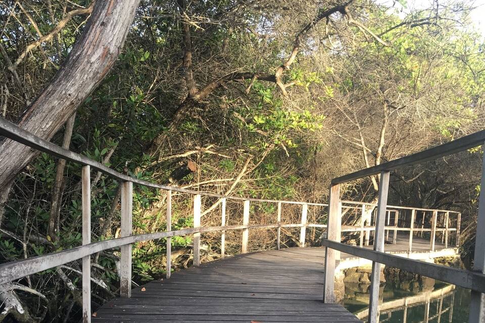 Eine Holzbrücke mit Geländern, die zu einer kleinen Holzplattform über dem Wasser führt.