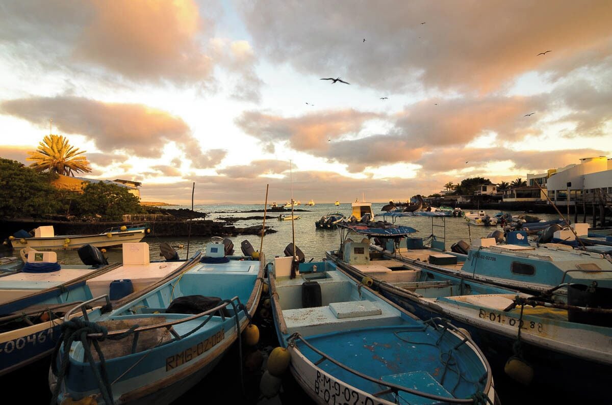 #GoldenHour at the fish market on Santa Cruz. Spent a few days here while waiting for our cruise around the Galapagos. A great town to prepare for the animals in. Wild seals come to 'buy' at the fish market as well.
