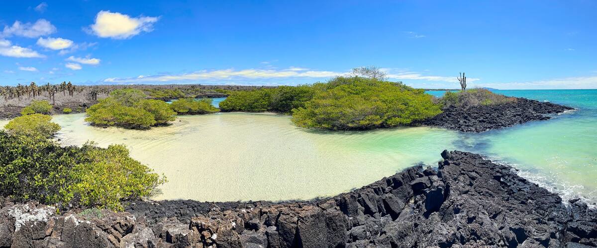 A coastal landscape with clear turquoise waters, a sandy beach, and volcanic rocks.