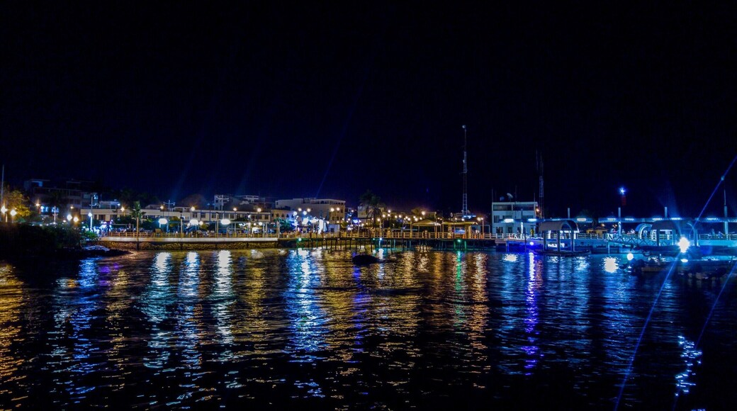 Puerto Ayora es una ciudad en el centro de las islas Galápagos, Ecuador. Está situada en la isla Santa Cruz.