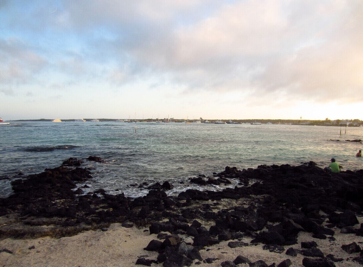 Puerto Ayora is the main hob to take trip to other islands in Galapagos. You don't have to take an expensive boat tour to visit the area. Fly to Baltra Island from the main land. From the Baltra Airport there are organized transfers to Puerto Ayora town (total $2 max about 1 h from the airport if travel by bus). You can find a travel agency which can take you in a group excursion to other islands or you can spend a night on a different island, although I'd recommend just staying in Puerto Ayora and take day trips. 