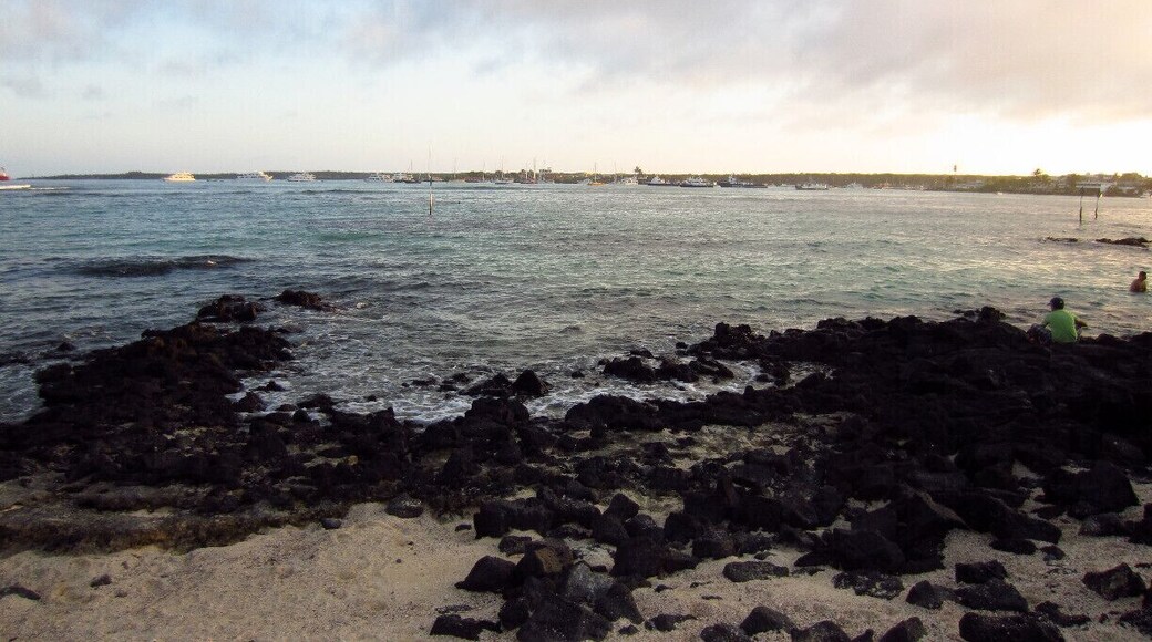 Puerto Ayora is the main hob to take trip to other islands in Galapagos. You don't have to take an expensive boat tour to visit the area. Fly to Baltra Island from the main land. From the Baltra Airport there are organized transfers to Puerto Ayora town (total $2 max about 1 h from the airport if travel by bus). You can find a travel agency which can take you in a group excursion to other islands or you can spend a night on a different island, although I'd recommend just staying in Puerto Ayora and take day trips.