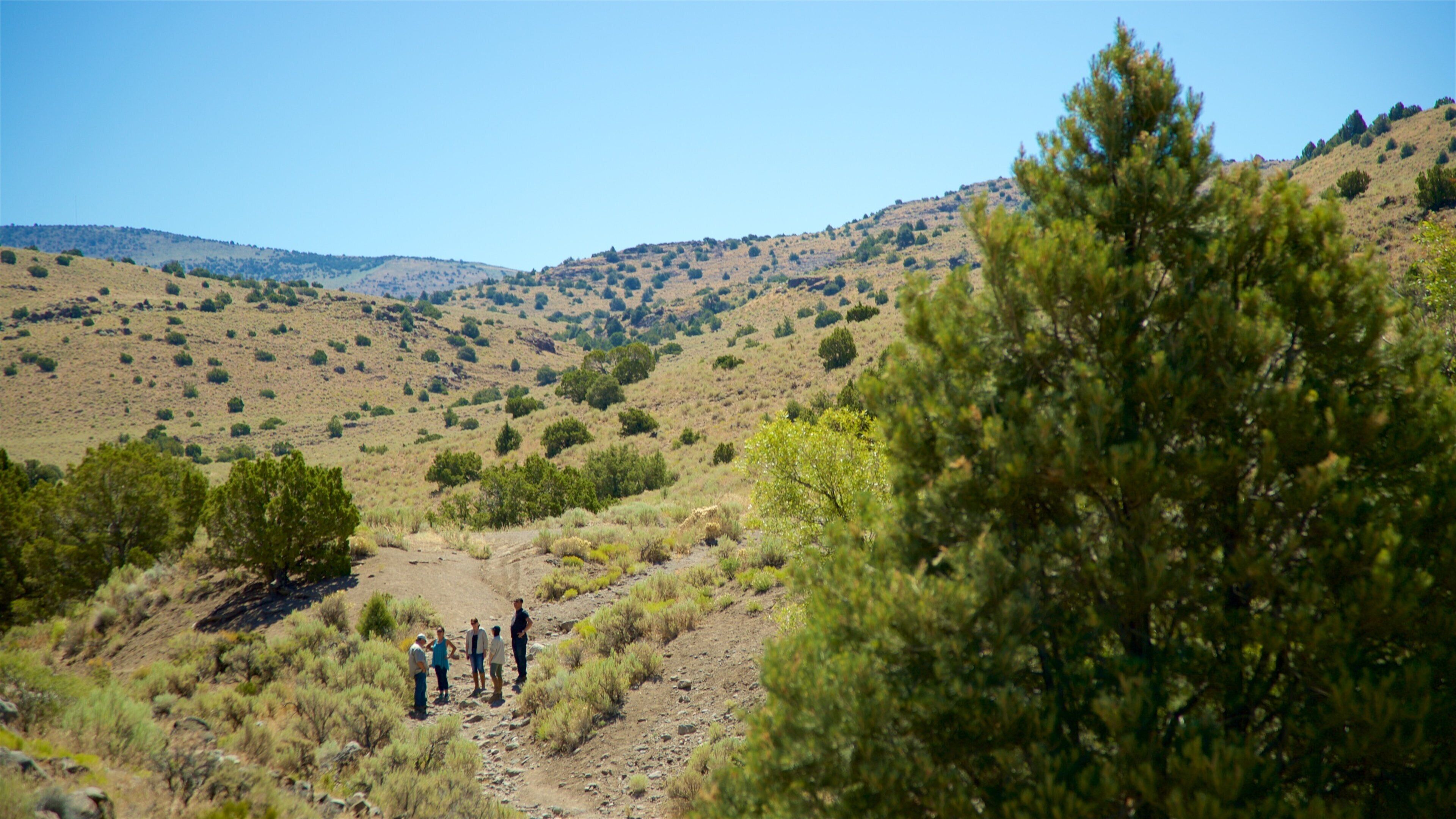 Ouest du Nevada qui includes scènes tranquilles et panoramas aussi bien que petit groupe de personnes