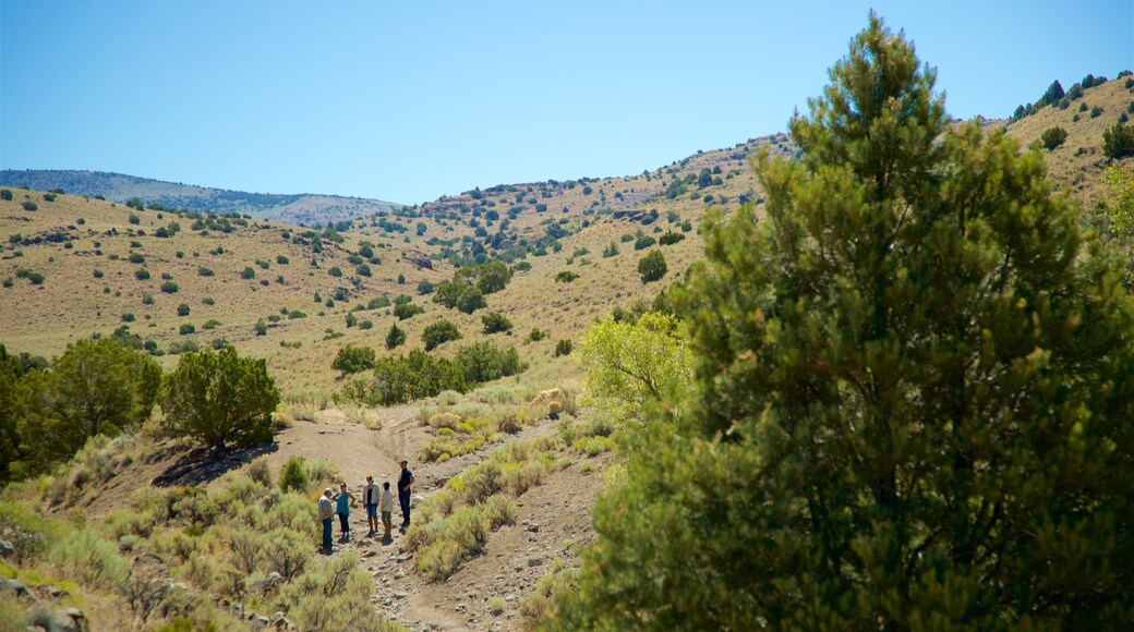 Ouest du Nevada qui includes scènes tranquilles et panoramas aussi bien que petit groupe de personnes