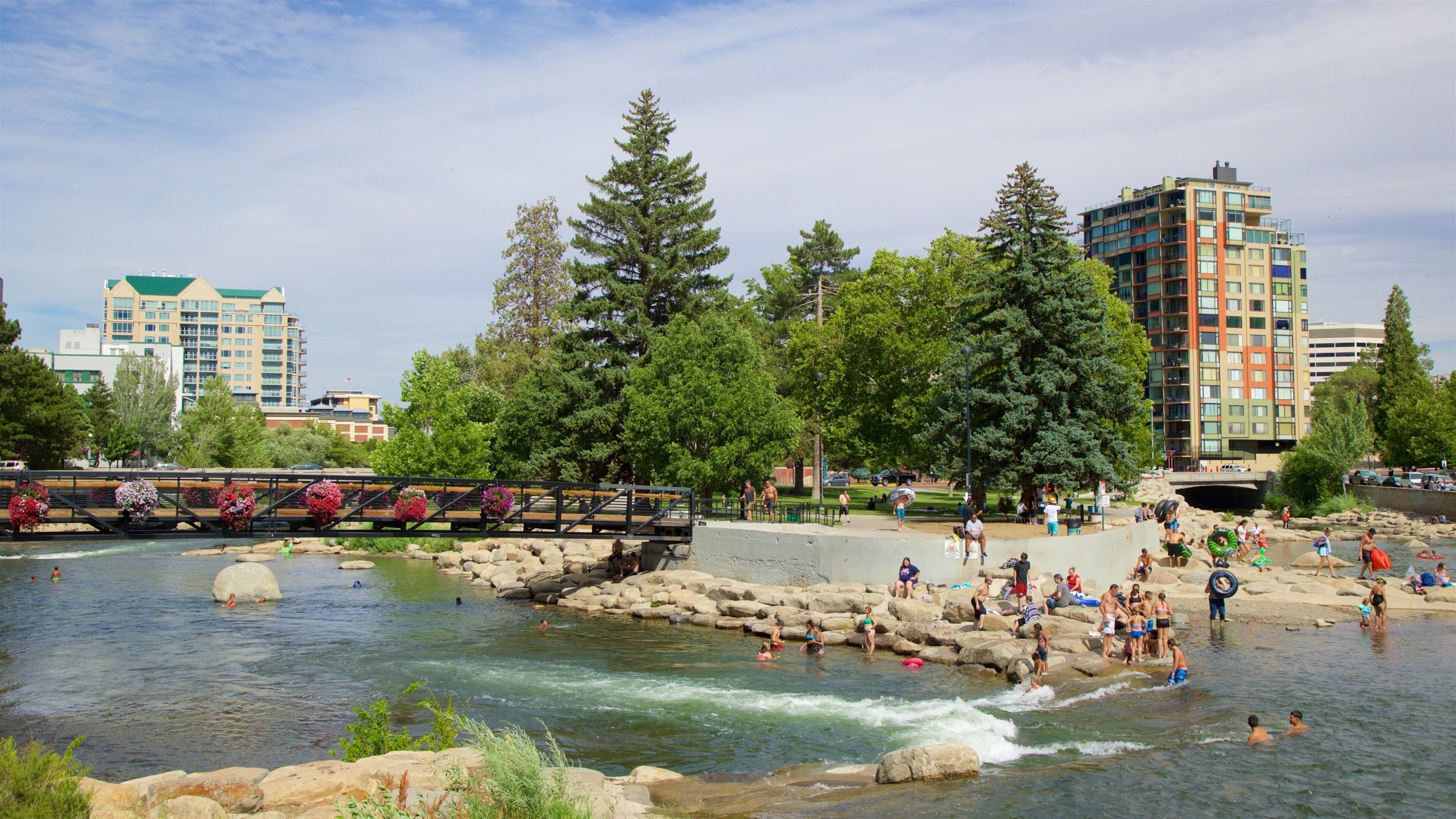 Reno som viser park, bro og elv eller bekk