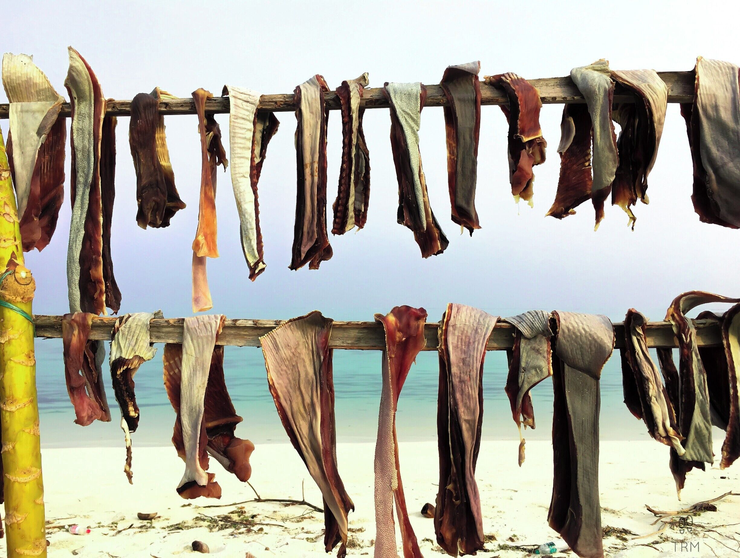 The teardrop-shaped island has superb beaches and beautiful lagoons. 
It offers utmost privacy unpolluted comfort with crystal clear water. Sparkling coral reef and blue lagoon perform magic on the soul searching traveler. 
There are numerous adventures and watersports activities to indulge in. Must do is scuba diving! 
The best of the best for me was interaction with the islanders.The locals are very friendly and are the nicest people you will ever meet <3I love their simple philosophy of life. 
During my morning walk at the beach, I came across this simple yet stunning capture worthy scene. The islands are just a few  square kilometers big and hence very less vegetation! fresh catch or dried fish is the main source of food for the islanders. This picture captures it all for me!
#beachbound

