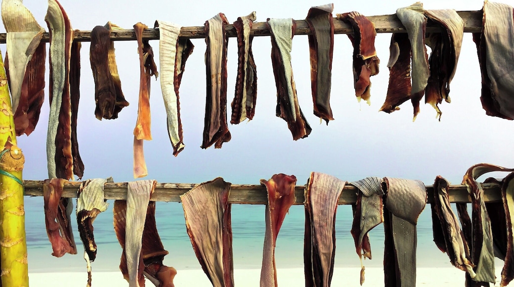 The teardrop-shaped island has superb beaches and beautiful lagoons.
It offers utmost privacy unpolluted comfort with crystal clear water. Sparkling coral reef and blue lagoon perform magic on the soul searching traveler.
There are numerous adventures and watersports activities to indulge in. Must do is scuba diving!
The best of the best for me was interaction with the islanders.The locals are very friendly and are the nicest people you will ever meet <3I love their simple philosophy of life.
During my morning walk at the beach, I came across this simple yet stunning capture worthy scene. The islands are just a few square kilometers big and hence very less vegetation! fresh catch or dried fish is the main source of food for the islanders. This picture captures it all for me!
#beachbound